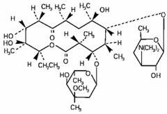 Erythromycin-Benzoyl Peroxide